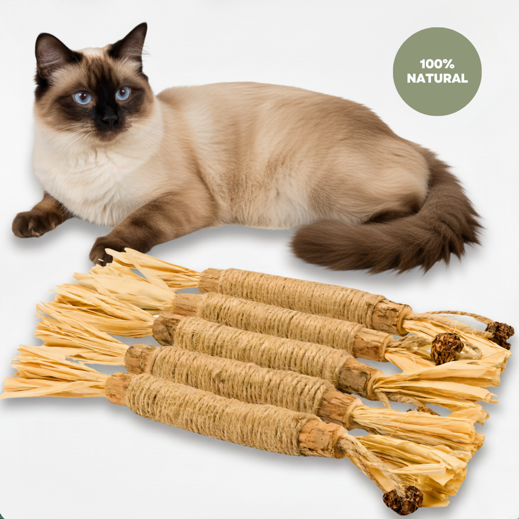 5 Silvervine Dental Sticks