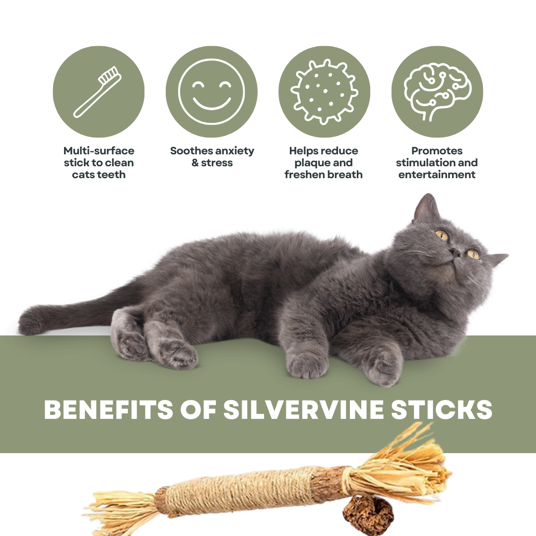 5 Silvervine Dental Sticks