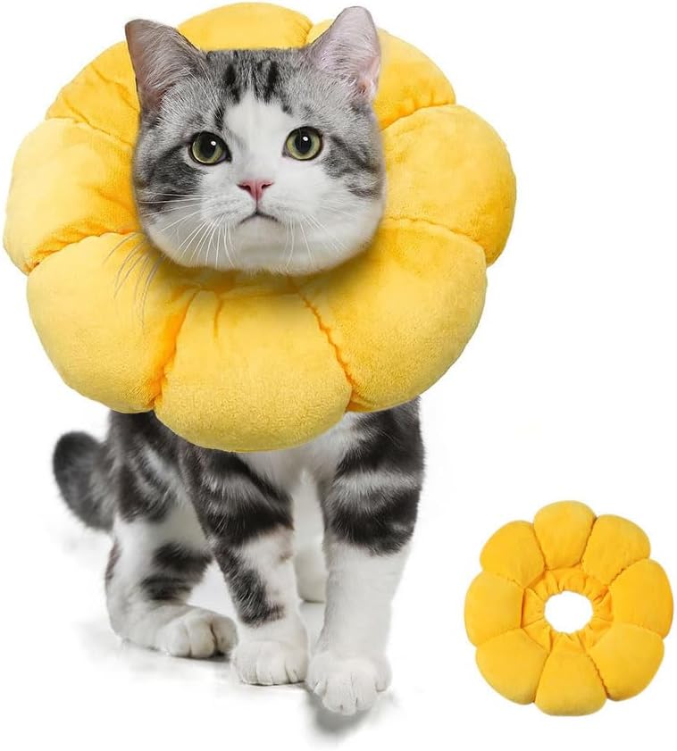 cat collar