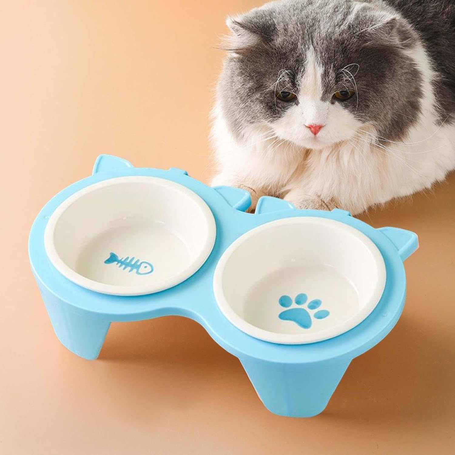 Indoor cat tall slanted cat food bowl