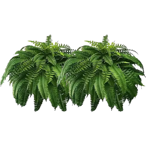 Last Day 70% OFF-UV Resistant Lifelike Artificial Boston Fern