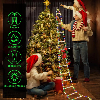 Christmas Santa Climbing Stairs Light